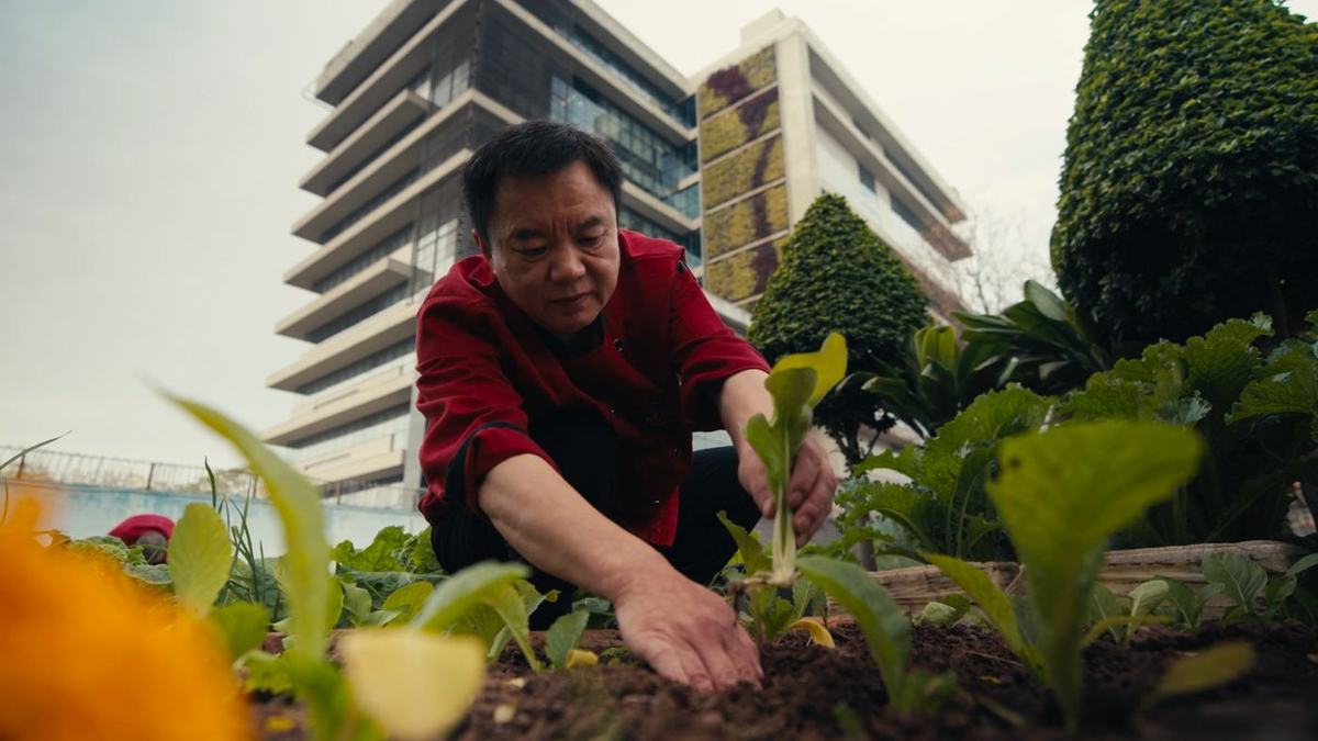 Huawei, Corporate DVC: still 5 from the project